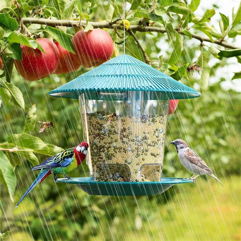 Hanging Bird Feeder