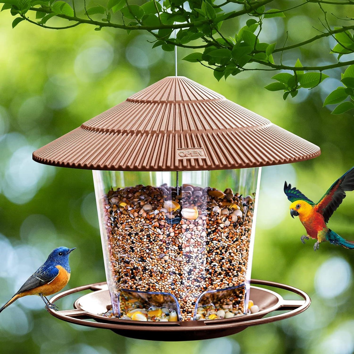 Hanging Bird Feeder